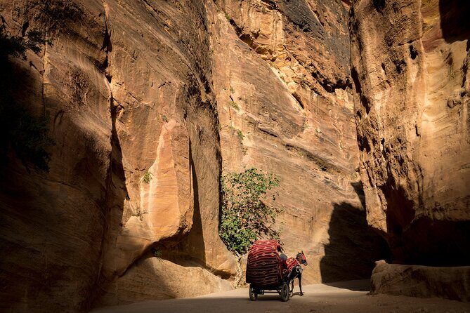 3-Day Petra and Wadi Rum Tour from Tel Aviv - Price and value: is $670 really fair here?