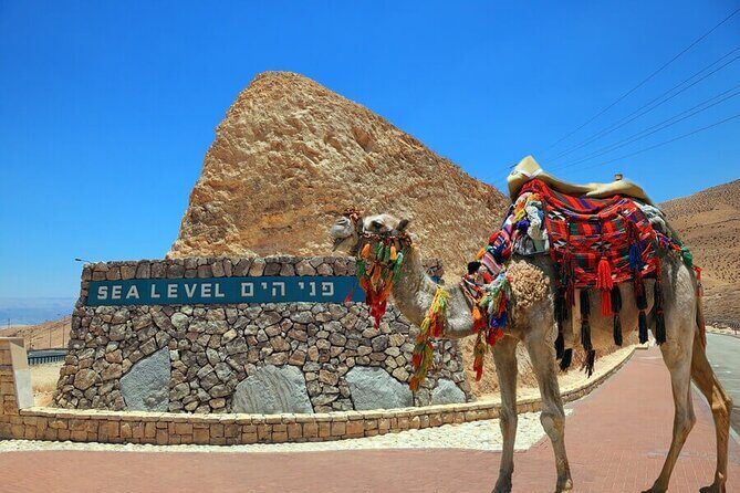 Ashdod Port Shore Excursion: Masada and the Dead Sea Day Tour from Ashdod Port - Key things to know before you go