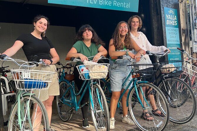 Bicycle Rentals - Key highlights at a glance