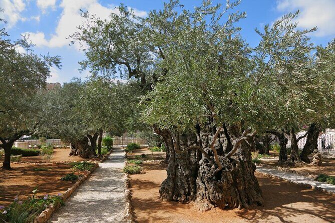 Day Tour Cruises Ashdod Port Jerusalem & Dead Sea or Bethlehem - Key highlights at a glance