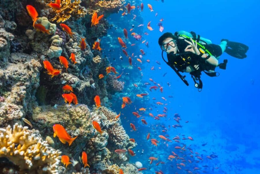 Eilat: Intro to Diving with Certified Instructor - Health limits you should treat as non-negotiable