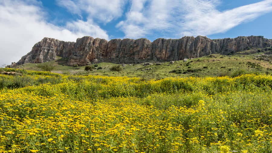From Jerusalem: Day Trip to Golan Heights and Mount Bental - The big-picture route: Armageddon plains to the Golan’s doorstep
