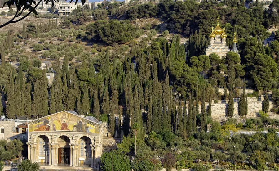 From Tel-Aviv: Day Tour to Origins of Christ in Jerusalem - Pater Nostra and Dominus Flevit: prayer and prophecy in plain sight