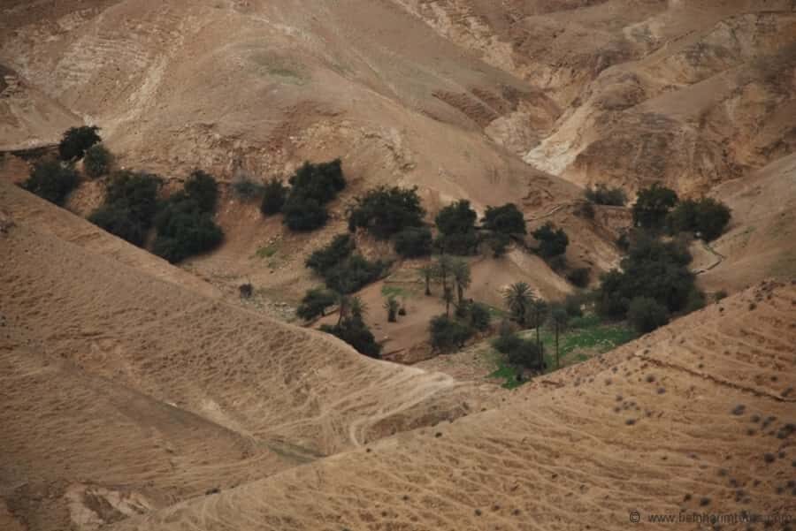 From Tel Aviv: Dead Sea Visit & Desert Safari - Descending to the Lowest Place on Earth