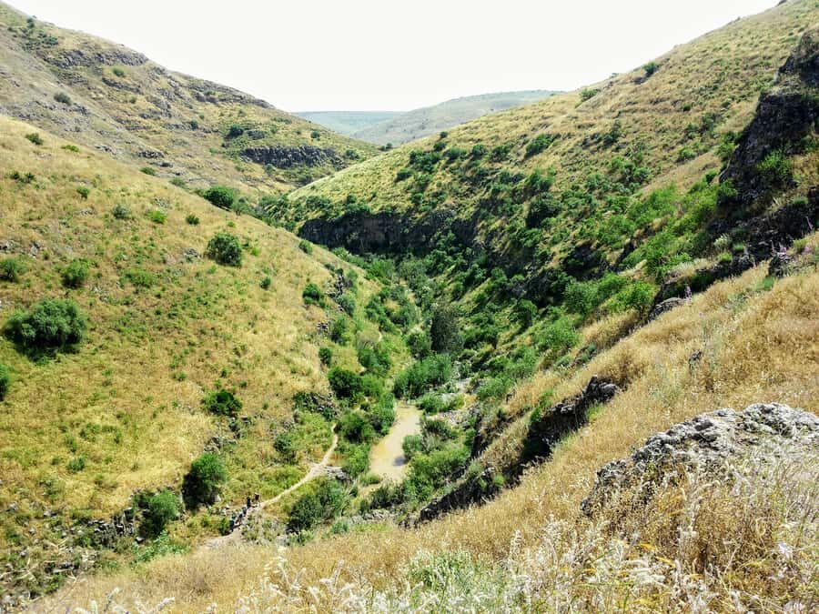 From Tel Aviv: Golan Heights Tour - Timing, Breaks, and the Lunch Question