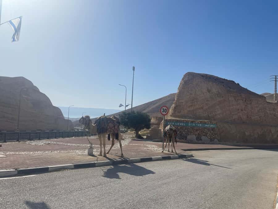From Tel Aviv: Masada &Dead Sea Tour INCLUDING ENTRANCE FEES - What to pack for sun, mud, and moving fast