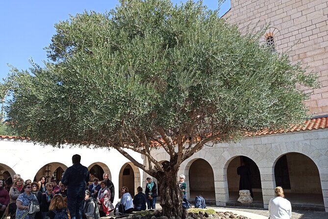 Full Day Tour to Nazareth and the Sea of Galilee - Stop 4: Mount of Beatitudes and That Octagonal Church Detail