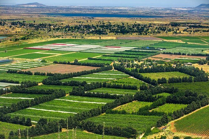 Golan Heights Day Trip from Jerusalem - Yardenit on the Jordan River: A Faith Stop Without Much Rushing
