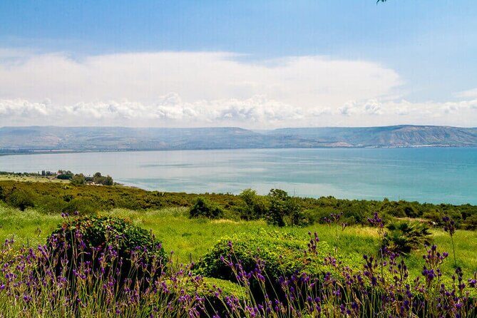 Haifa Port Shore Excursion: Nazareth and Sea of Galilee Day Tour from Haifa Port - Timing, Group Size, and How to Reduce Port-Day Stress