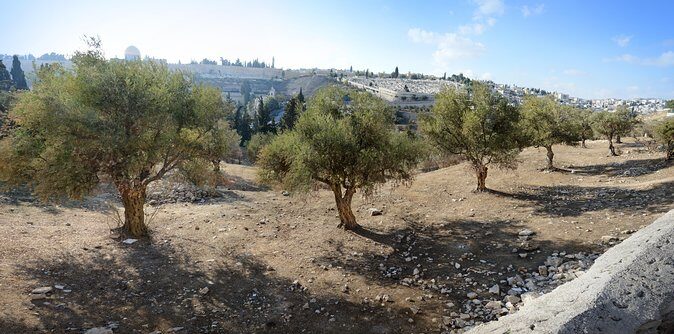 Jerusalem Old City - The Cenacle: last-supper context before you head back