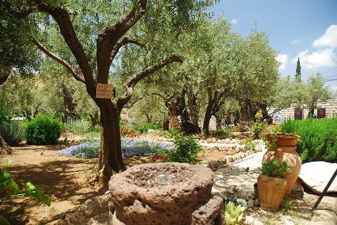 Jerusalem Old City & Mount Zion from Tel Aviv - The Old City walk: Cardo, Jewish Quarter, and the Western Wall route