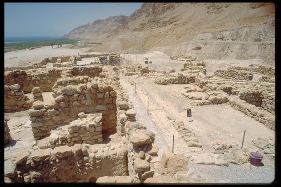 Masada Dead Sea: Small Group Tour from Tlv INCL. ENTRY FEES - Dead Sea cosmetics stop: useful if you want products, annoying if you want time