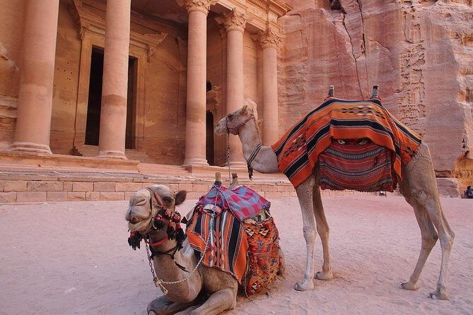 Petra & Wadi Rum 3 Days 2 Tour Nights from Eilat border - Wadi Rum transfer and the Bedouin-style sunset evening