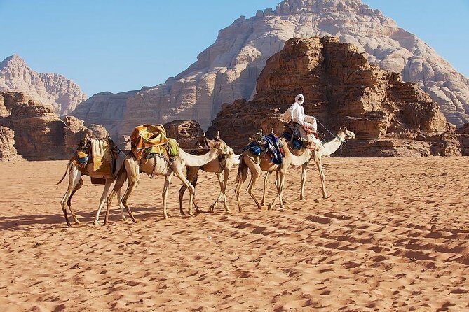 Petra & Wadi Rum 3 Days 2 Tour Nights from Eilat border - Day 3: 4x4 jeep tour tracks like Lawrence of Arabia