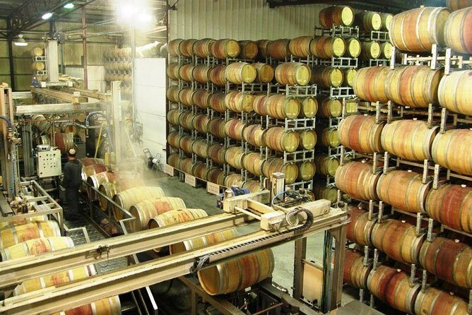 Private Israeli Wines Tour of the Central Israel - Three boutique wineries, real production tours, and 4–5 wines each