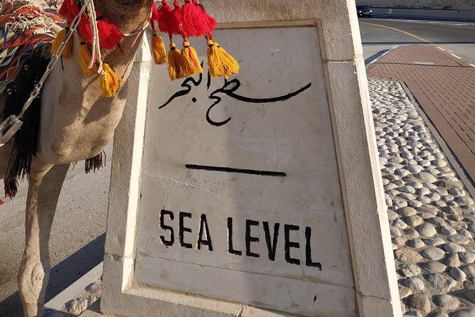 Private Tour: Dead Sea and Masada - Why this Dead Sea and Masada day trip feels so efficient