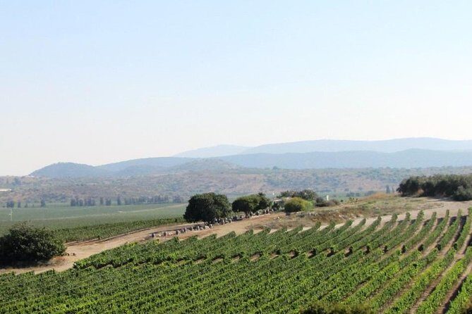 Private wine tour of Northern Israel - Key Points Before You Go