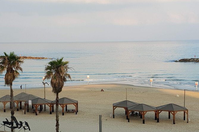 Privet walking tour in Tel Aviv-Yafo - Rothschild Blvd start and a clear finish point