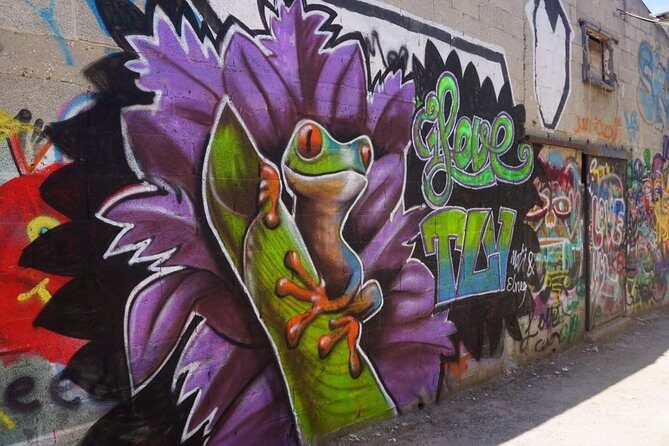 Tel Aviv Street Art & Graffiti Tour - Tel Aviv Street Art: Why This Looks Different From a Museum